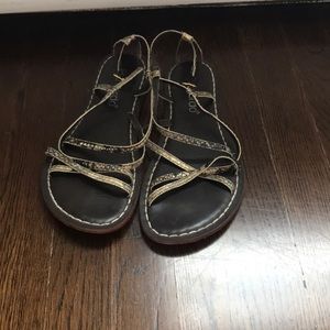 Bernardo Sandals